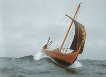 Die Wiking-Saga